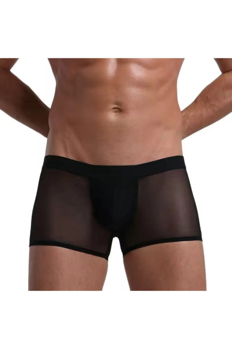 Fantezi  Transparan  Tül Erkek Boxer  Fantezi Tanga BC4603