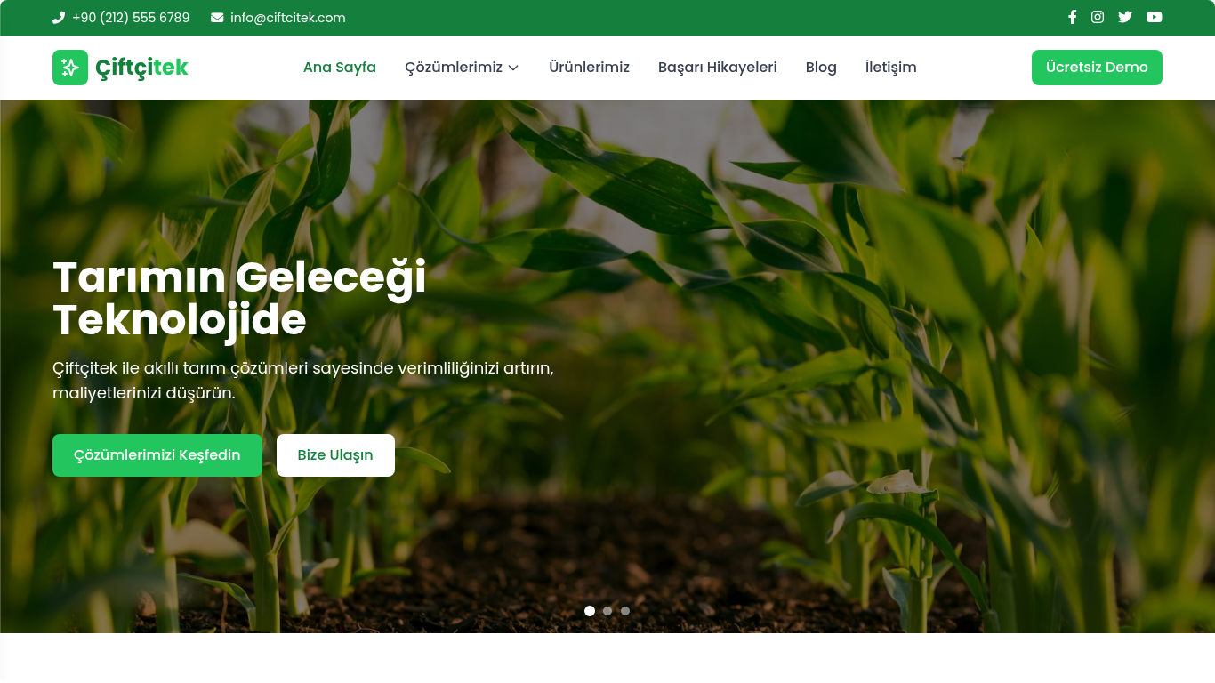 Yeşil mısır bitkileriyle dolu tarla, çiftlik ve tarım teknolojisi konsepti