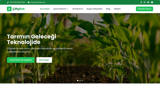 Yeşil mısır bitkileriyle dolu tarla, çiftlik ve tarım teknolojisi konsepti