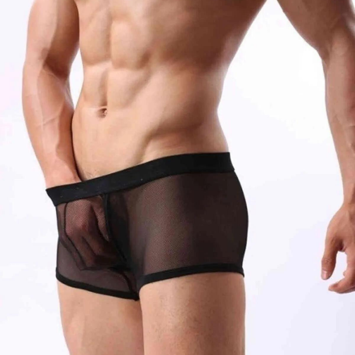 Fantezi  Transparan  Tül Erkek Boxer  Fantezi Tanga BC4603